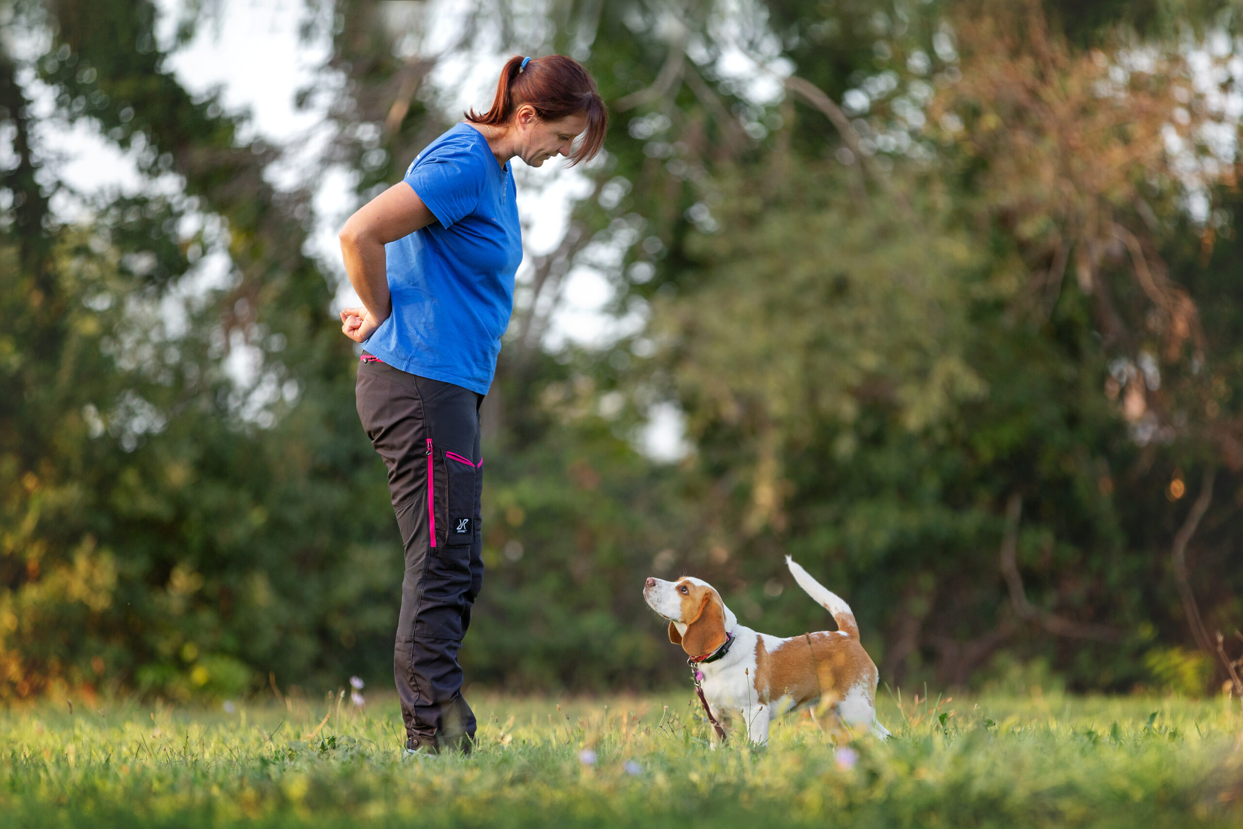 farsi ascoltare dal cane