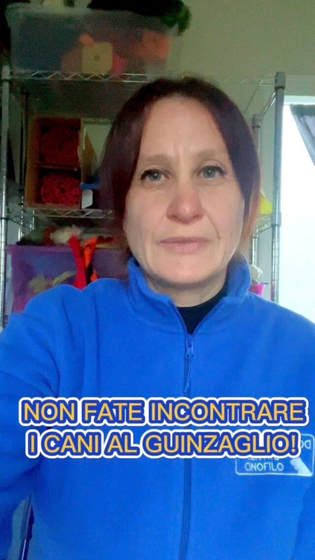I cani non dovrebbero incontrarsi al guinzaglio, significa metterli in difficoltà e fargli vivere esperienze negative.

Spiego sempre che i cani al guinzaglio devono imparare ad ignorarsi, fin da cuccioli.

E voi? Cosa fate col vostro cane?

#sguinzagliamoci #educazionecinofila #dogtrainer #culturacinofila