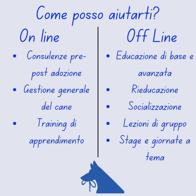 Possiamo lavorare insieme per migliorare la relazione col tuo cane, posso aiutarti on line e off line, ecco come