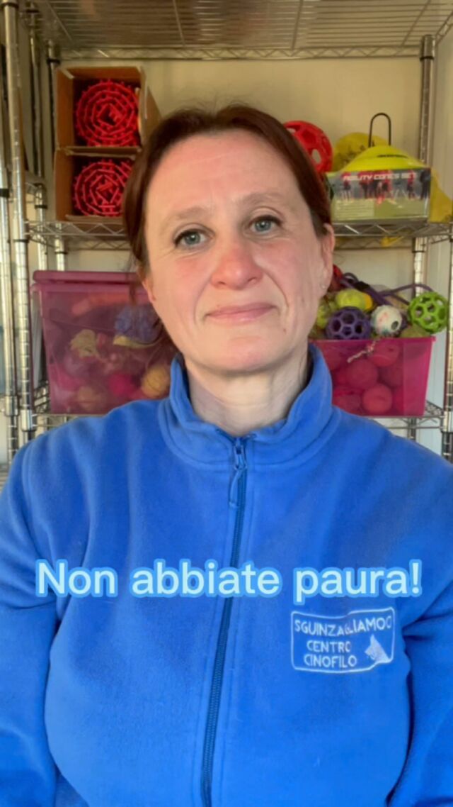 Cari proprietari che state per intraprendere, o avete appena iniziato un percorso educativo, questo video è per voi!

#educazionecinofila #educatricecinofila #canieducati #cinofiliaitaliana #cinofilia