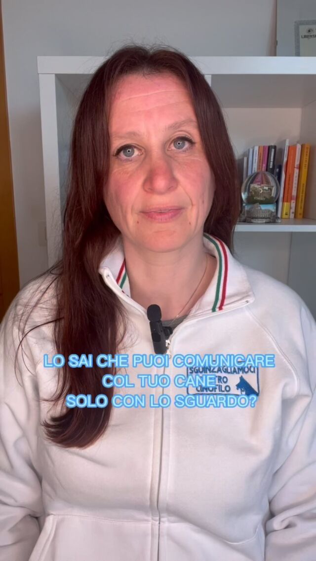 Lo sai che puoi comunicare col tuo cane usando solo lo sguardo? 

In questo video ti spiego perché

E tu hai un’intesa così forte?
Parliamone insieme nei commenti 

#educazionecinofila #culturacinofila #canieducati #canifelici #cinofiliaitaliana