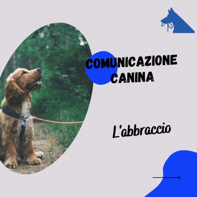 Nei cani l'abbraccio ha un significato diametralmente opposto al nostro.

E' un comportamento che deve essere conosciuto molto bene perchè sapere cosa il nostro cane sta dicendo in quel momento ci può risparmiare qualche guaio.

E voi lo sapete cosa significa?

Scrivetelo nei commenti, raccontatemi le vostre esperienze e parliamone insieme 

#cinofilia #educazionecinofila #canifelici #amoilmiocane #comunicaredacani #educatorecinofilo #educatricecinofila #culturacinofila #conosciiltuocane