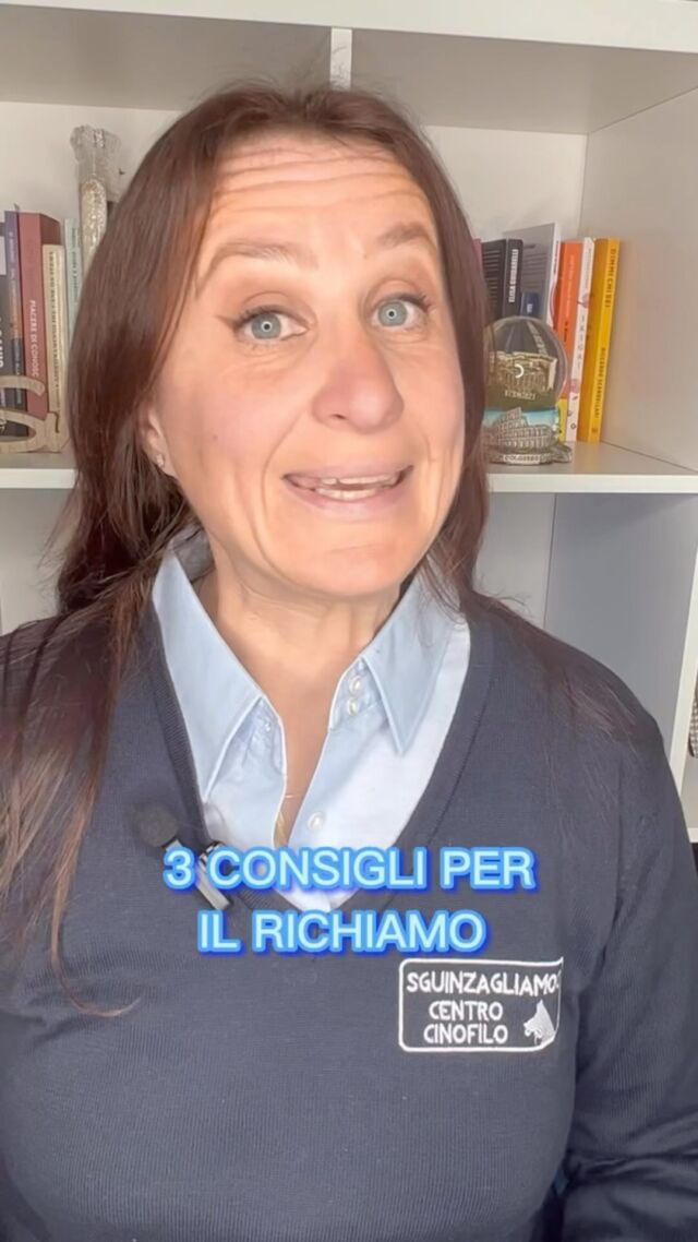 Il richiamo è uno dei fondamentali che devi insegnare al tuo cane!

Tre consigli per renderlo molto efficace!

#educazionecinofila #richiamo #canifelici #cinofiliaitaliana